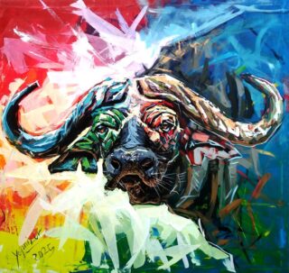 Buffalo Portrait