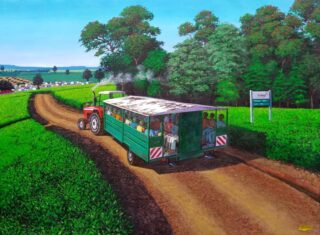 Sunday The Fortnight